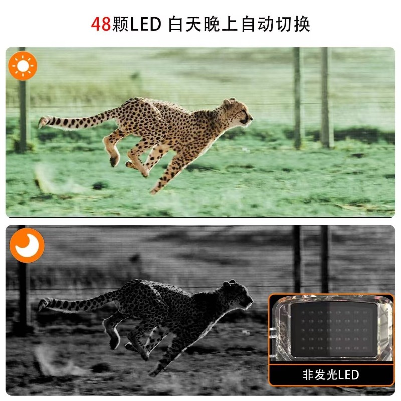 عرض خاص DL001 كاميرا صيد لتتبع - مراجعة Hunting Outdoor Camera وسعره