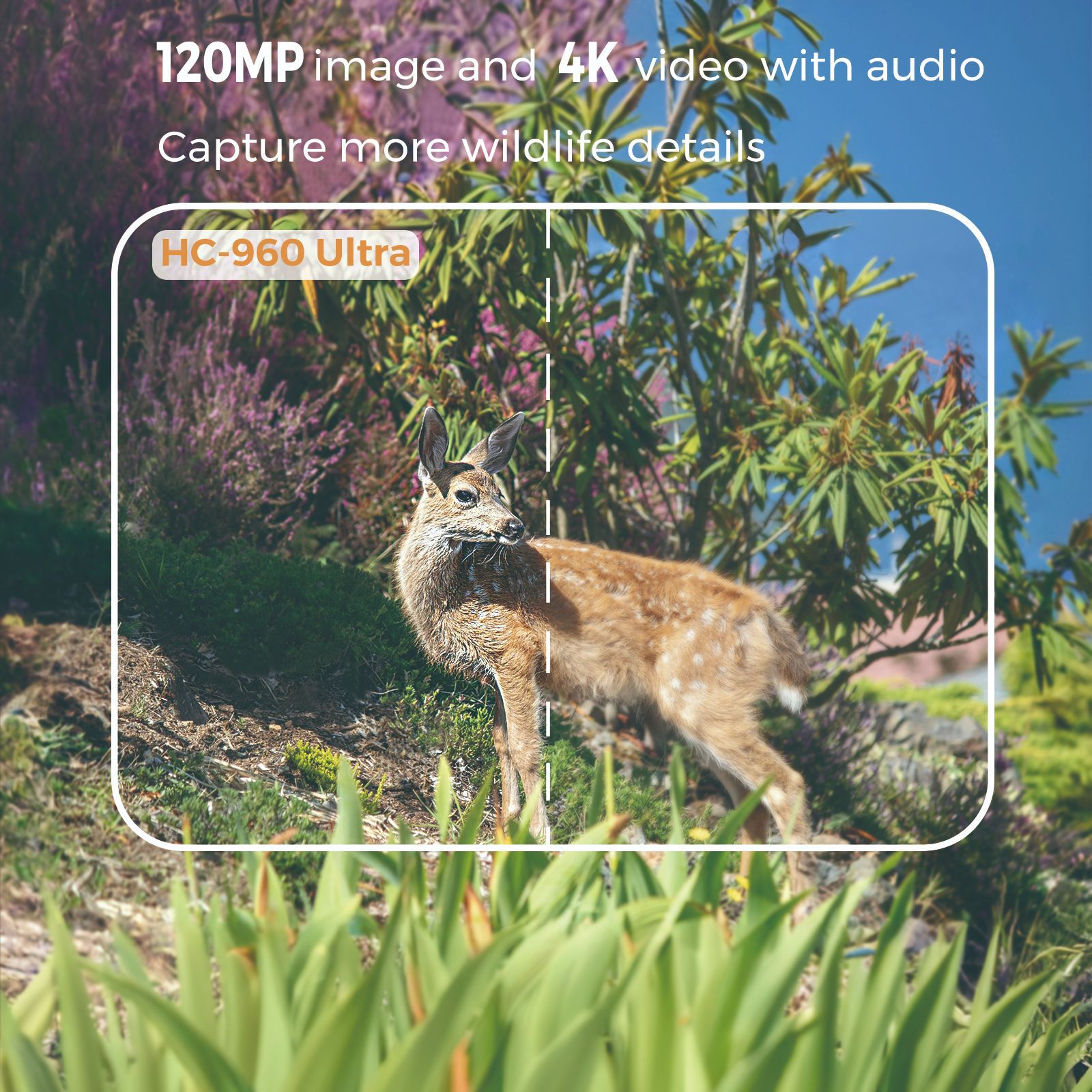 في الهواء الطلق 4K فيديو 120MP - مراجعة Hunting Outdoor Camera وسعره