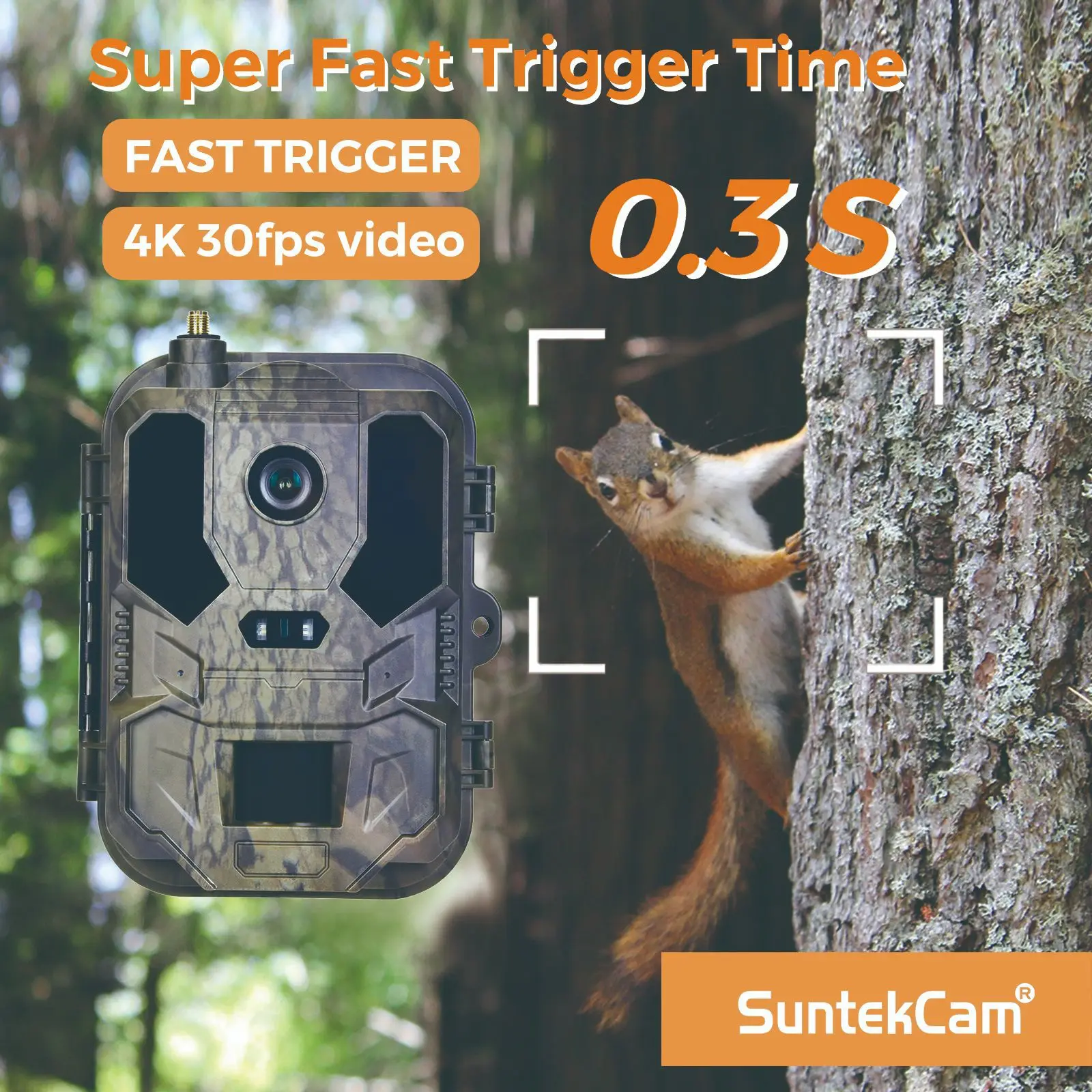 4G في الهواء الطلق الحياة البر - مراجعة Hunting Outdoor Camera وسعره